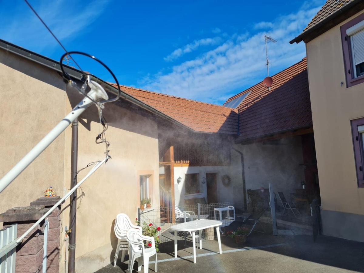 Les Chouchous Du Ried 1 Lägenhet Saasenheim Exteriör bild